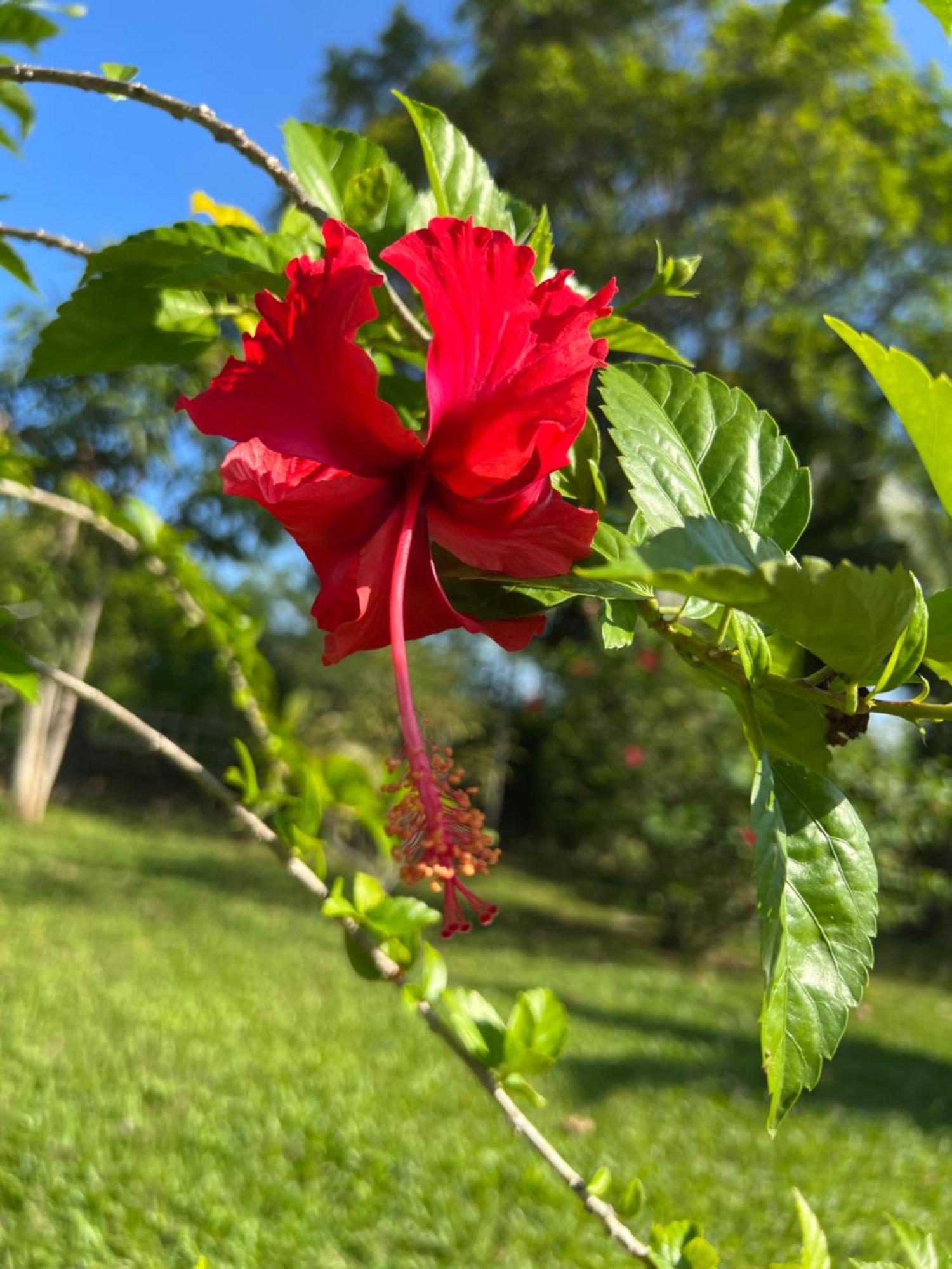 Lovely Garden Villas 판타이체낭 외부 사진