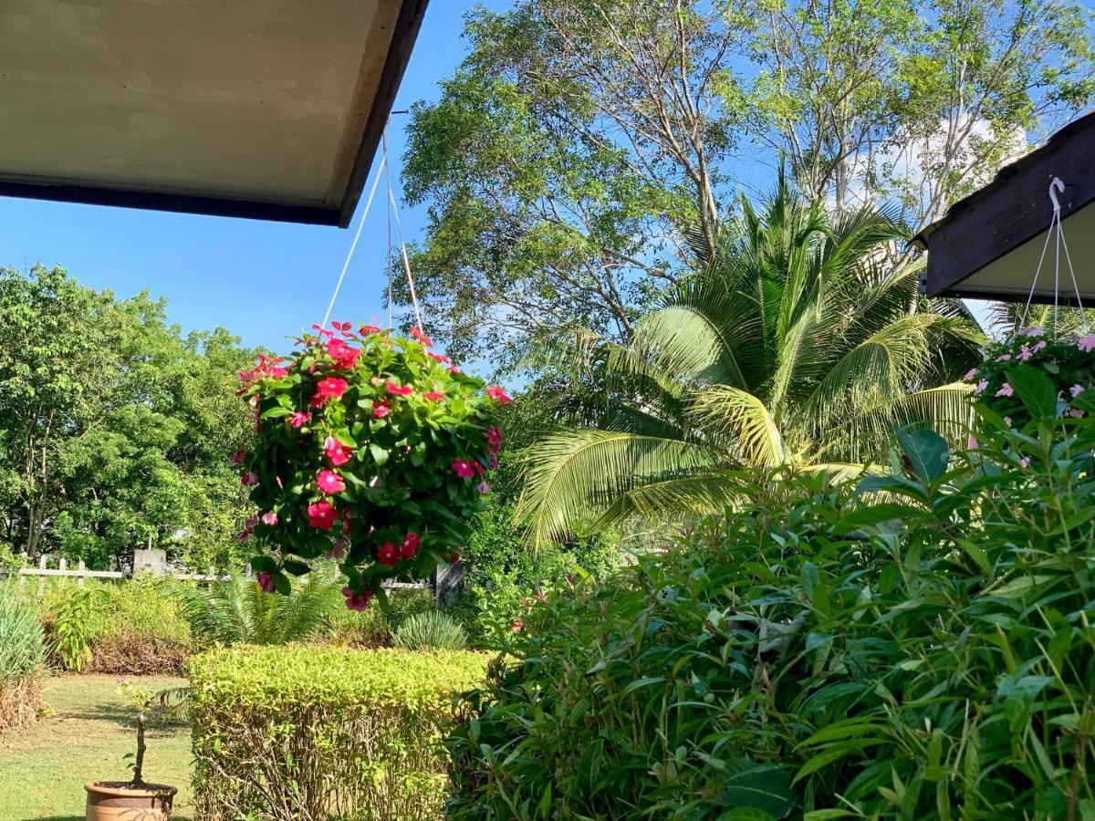 Lovely Garden Villas 판타이체낭 외부 사진